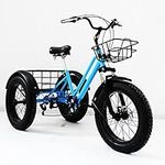 Classic 20''x4'' Tricycle Beach Sno