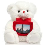 BEJOY Teddy Bear Stuffed Animal Plush Bear with Red Bow Holding a Picture Frame Soft Plush Toy Christmas Valentine's Day Gift 12 Inches White