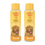 Burt's Bees for Dogs All-Natural Oatmeal Shampoo with Colloidal Oat Flour and Honey | Best Oatmeal Shampoo for All Dogs and Puppies with Itchy Skin, 16 Ounces, Pack of 2