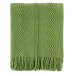 BATTILO HOME Moss Green Throw Blanket for Couch, Spring Decorative Green Blankets for Sofa, Spring Throw Blanket, 50"x60"