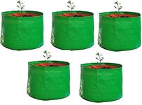 YUVAGREEN Terrace Gardening Leafy Vegetable Green Grow Bag (12"x 15") - (Pack of 5)