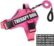 Dog Vest Harness and Leash Set, Animire Reflective Service Dog Vest with 10 Patches, 3 Rings No Choke Pet Vest for Leash Placement, in Training Dog Harness for Small Medium Large Dogs(Hot Pink,M)