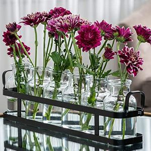 6pc Glass Flower Vase with Metal Holder, Best Vases for Flowers, Set for Home Decor, Wedding Decorations, Table Decor, Kitchen, Bathroom, Bedroom, Shelf Decor, Best Modern Vase for Flower Arrangement