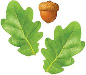 TREND enterprises, Inc. Oak Leaves & Acorns Classic Accents®, 108 ct