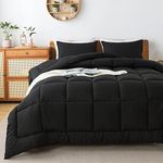 WhatsBedding Black Queen Comforter 