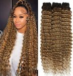 HNTL Ombre Deep Wave Human Hair 3 B