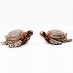 EZ Life 1 Pair of Turtles -Good Luck Charm Wealth Sign Vastu Feng Shui Premium Decorative Show Piece - Home Décor - for Housewarming, Statue Figurine