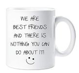 60 Second Makeover Limited We are Best Friends and There is Nothing You Can Do About It Mug Sarcasm Sacrastic Friend Funny Gift Cup Birthday Christ