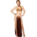 HMLFTIE Women Costume Cosplay Princess Slave Leia Sexy Halloween Lingerie Set Dress Uniform,Brown,XL