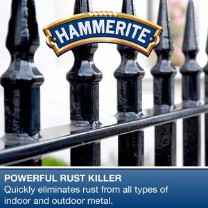 Hammerite Kurust Rust Converter, 90ml