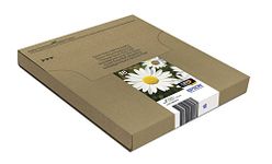 Epson 18 Daisy Genuine Multipack, Eco-Friendly Packaging, 4-colours Ink Cartridges, Claria Home Ink