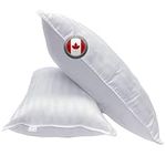 Pillows Queen Size 2 Pack - Premium Down Alternative Made in Canada Hotel Pillows - Bed Pillows for Stomach, Back and Side Sleeper - Supportive and Firm Pillows