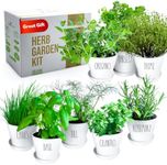 Deluxe Herb Garden Kit - 8 Variety Herbs for Indoor & Outdoor – Get Growing with Pots, Potting Soil for Window Herb Garden. (8 Set Deluxe herb kit)