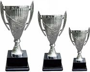 Personalised Silver Presentation Cup Trophy Award for Any Sport Engraved Free - Enter Your Own Custom Text (1 of Each Size)