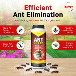Quebec Ant Killer Powder 500g – Crawling Insect Dust for Indoor & Outdoor