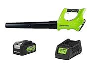 Greenworks 24 V Blower Kit with 4Ah