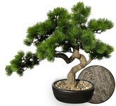 Permaplants Artificial Bonsai Tree Juniper Pine Realistic Bark Tall 16in. Ceramic Pot Fake Plants Zen Relaxing Faux Plants for Home Bedroom Office Desk Nightstand Shelf Living Room Garden Decorations