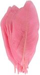 YellowCult Natural Real Dried Leaves for Art Craft [Pack of 50 Big Size Skeleton Leaves] for Decorative DIY Craft, Soap, Candle, Scrapbooking, DIY, Resin Jewelry, Pendant [Pink]