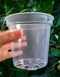 VietCanPro Plant Pot 6 pcs Clear Nursery Pots 6 inch Transparent Plant pots with Drainage, Seeding pots, Orchid pots, Clear Nursery pots