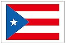 8 Large Puerto Rico Flag Tattoos, P