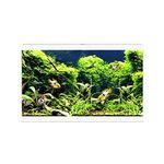 White Ciano Aqua 60 LED Tropical Glass Aquarium - Includes Filter, Lights & Heater 58L