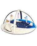 Skip Hop Heavenly Dreams Play Arch with Removable Toys and Cushions