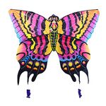 3D Nylon Butterfly Kite with 60" Wingspan (5 ft) by AmaZing Kites