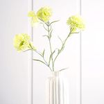 Pure Home + Living Carnation Stem (Green, Set of 2)