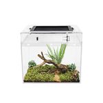 Reptile Growth Mini reptile tank（PC）,8" x 8"x 8" vivarium with Top Sliding Door Screen Ventilation for Small Fish,Insect,Snail,Gecko，Tarantula,Bearded Dragon,Jumping Spider,Stick Insect