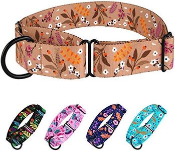 CollarDirect Martingale Collars for Dogs Heavy Duty Floral Pattern Female Safety Nylon Training Wide Collar Flower Design Large Medium (XL, Neck Size 19"-24", Toffee)