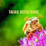 TALIAS BEE