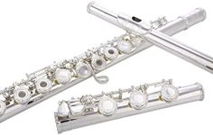 Glory HAND-ENGRAVED SILVER PLATED HIGH GRADE FLUTE 17 Hole OPEN/CLOSED C Flute With Case, Tuning Rod and Cloth and Gloves,HIGH GRADE HAND ENGRAVED