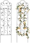 Idzo Decorative Metal Trellis for Climbing Plants Outdoor, Anti-Corrosion Powder Coated Garden Trellis, Sturdy Long Spikes, 60 Inch