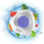 Fruit and Vegetable Cleaning Machine,Fruit Cleaner Device in Water,Portable USB Wireless Food Purifier Vegetable Washer,Ultrasonic Fruit Washer with OH-ion Clean Technology for Fruit,Rice,Bean, Meat