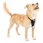 Kurgo Tru-Fit Crash Tested Dog Harness, Black, Small