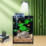 SANOSY 1.2Gallon Fish Tank Kit Desk