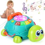 Musical Turtle Baby Toys 6 to 12 Mo