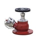 Genric FIRE Hydrant Valve SS