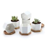 T4U Small White Succulent Planter Pots with Bamboo Tray Pack of 6, Hexagon Plant Holder with Drainage Hole, Cactus Container for Home Office Table Desk Decoration Gift