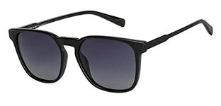 Wayfarer Sunglasses With Flexes