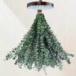 16Pcs-Preserved-Dried-Eucalyptus-Branches,17" Pure Natural Fresh Eucalyptus Plant for Shower, Real Eucalyptus Bunch for Vase Filler, Present for Mother, Dried Flowers Arrangement, Floral Home Decor