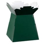 INERRA Florist Boxes Living Vases for Flowers and Bouquet Box Making - Pack of 5 (Dark Green)