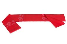 Theraband Medium Resistance Latex Free Exercise Band 8 Feet(Length) x 4 Inches(Width) Red