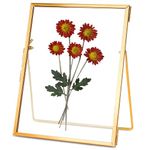 Glass Pressed Flower Frame Handmade, Floating Picture Frames for Pressed Flowers, Tabletop Artwork Photo Frames, Brass Desk Picture Frame for Home Office Plant Specimen