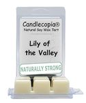 Candlecopia Lily of The Valley Strongly Scented Hand Poured Vegan Wax Melts, 12 Scented Wax Cubes, 6.4 Ounces in 2 x 6-Packs