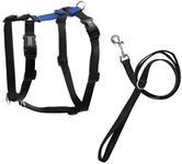 Blue-9 Pet Products No-Pull Balance