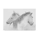 Trademark Fine Art Two White Horses by Marie Anne Stas, 30x47-Inch, 30x47,