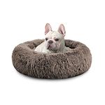 King Bed For Dogs