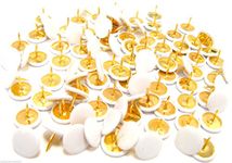 White Drawing Pins Brass White Headed Drawing Pins Thumb Tacks Push Pins 100 New