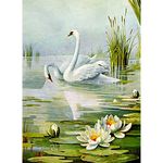 DIY 5D Diamond Painting by Numbers Kits, White Swans Love Water Lilies Lotus, Full Drill Rhinestones Paint with Diamonds Crystal Diamond Art (Swan)